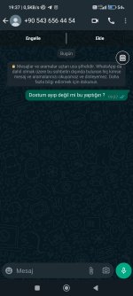Screenshot_2023-05-29-19-37-20-783_com.whatsapp.jpg