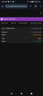 Screenshot_20250701-122402.png